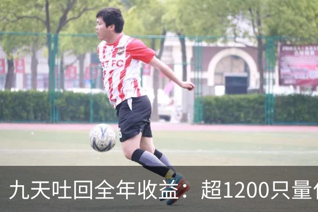 九天吐回全年收益：超1200只量化私募净值跌至“水下”