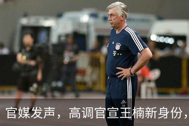 官媒发声，高调官宣王楠新身份，资产查封被带走调查传闻早有真相