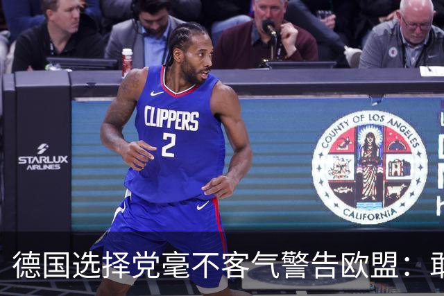 德国选择党毫不客气警告欧盟：敢拒绝我们的提议，后果将十分严重