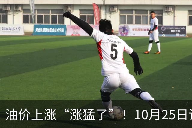 油价上涨“涨猛了”！10月25日调价后92/95号汽油价格，玉米承压，“磨底”待涨？