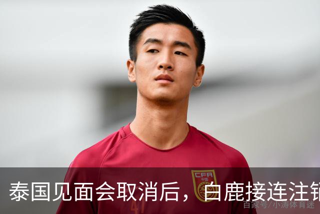 泰国见面会取消后，白鹿接连注销名下三家公司，网友：果然有猫腻