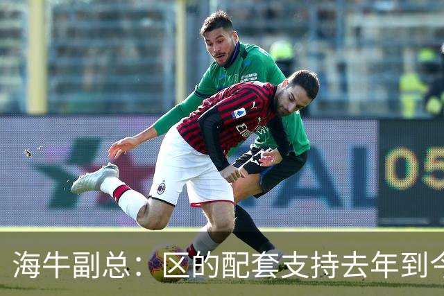 海牛副总：区的配套支持去年到今年都没落实，资金缺口4000万