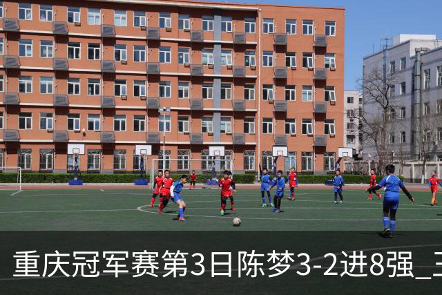 重庆冠军赛第3日陈梦3-2进8强 王艺迪樊振东赢内战
